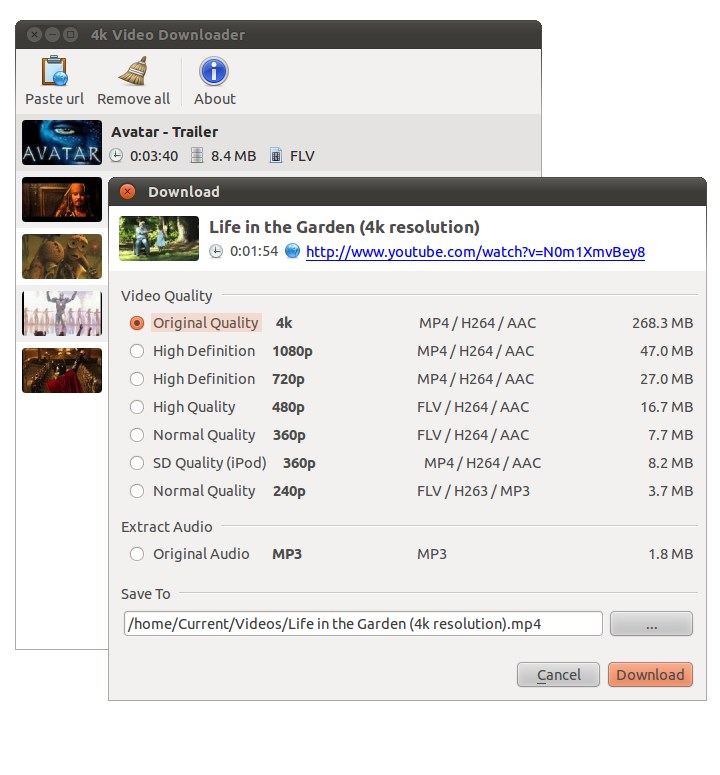 free ant video downloader for internet explorer