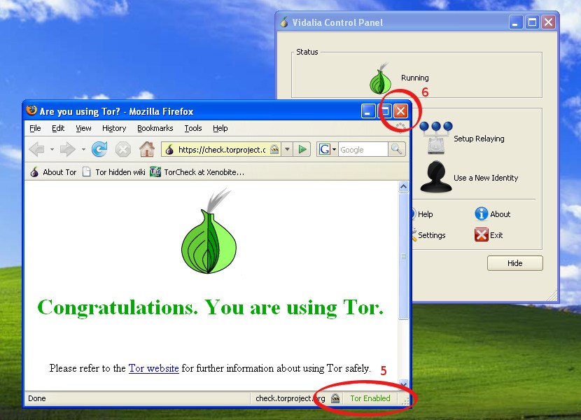 does tor browser hide ip